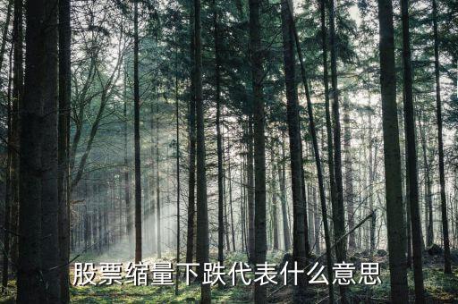 股票縮量下跌代表什么意思