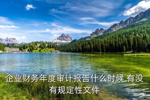 企業(yè)財(cái)務(wù)年度審計(jì)報(bào)告什么時(shí)候 有沒有規(guī)定性文件