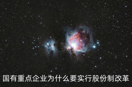 國有重點企業(yè)為什么要實行股份制改革