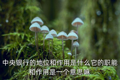 中央銀行的地位和作用是什么它的職能和作用是一個(gè)意思嘛