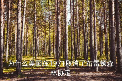 什么取代了布雷頓森林體系，布雷頓森林體系的產(chǎn)生說明了
