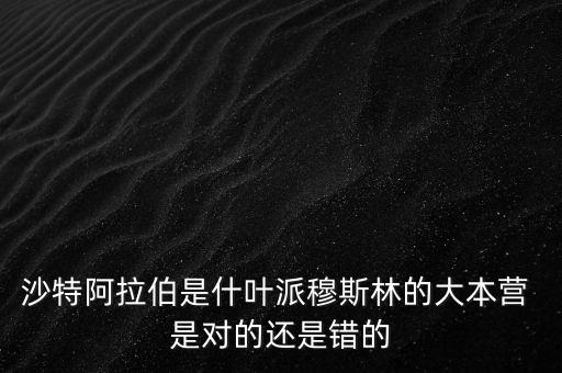 沙特阿拉伯是什葉派穆斯林的大本營 是對的還是錯(cuò)的
