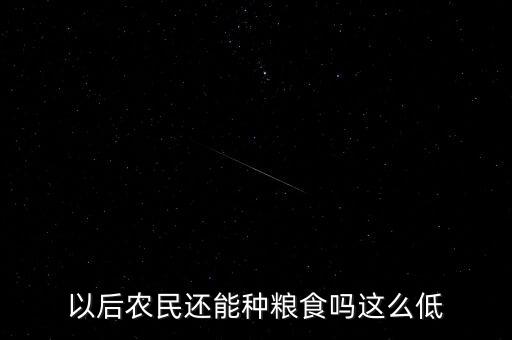 以后農(nóng)民還能種糧食嗎這么低