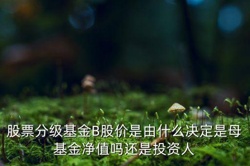 股票分級(jí)基金B(yǎng)股價(jià)是由什么決定是母基金凈值嗎還是投資人