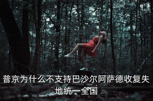 普京為什么不支持巴沙爾阿薩德收復(fù)失地統(tǒng)一全國