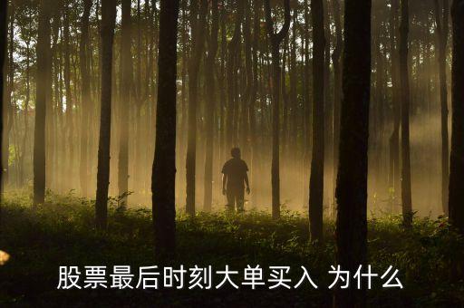 最后一筆大單買(mǎi)入什么意思，尾盤(pán)大單買(mǎi)入說(shuō)明什么