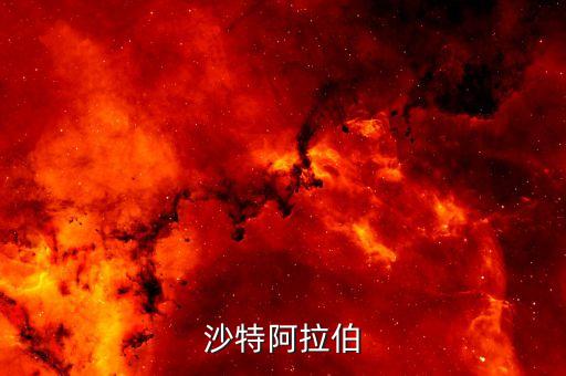 沙特阿拉伯