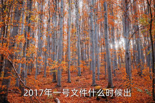 2017年一號文件什么時(shí)候出