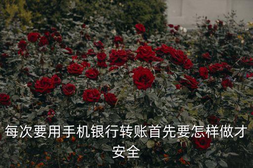 手機(jī)銀行轉(zhuǎn)賬有什么可以保護(hù)安全，手機(jī)開(kāi)了手機(jī)銀行怎么保護(hù)