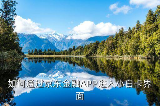 登陸京東金融后進(jìn)入什么頁(yè)面，京東金融app借錢(qián)界面在哪里啊