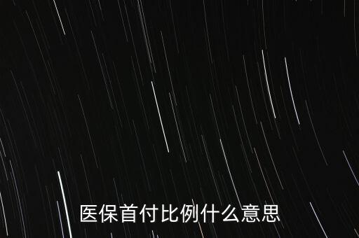 醫(yī)保首付比例什么意思