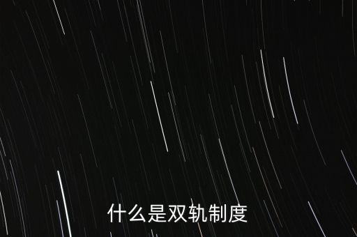 什么是雙軌制度