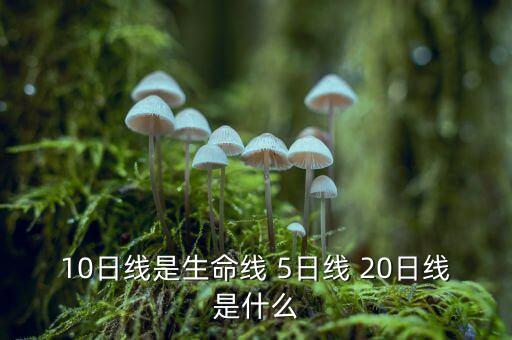 股票10日線是什么意思，十日線的定義是什么