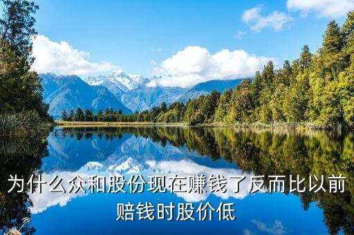 眾和股份財(cái)務(wù)為什么這么差，濟(jì)寧眾和投資有限公司怎么樣我想理財(cái)有知道的嗎