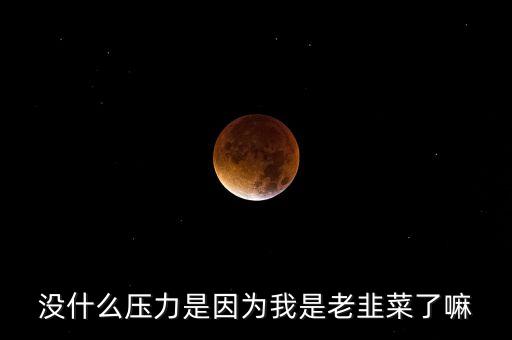沒什么壓力是因為我是老韭菜了嘛