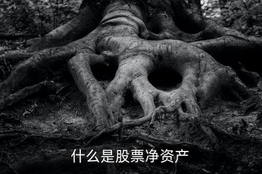 什么是股票凈資產(chǎn)