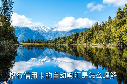自動(dòng)購匯轉(zhuǎn)出什么意思，什么是中國銀行信用卡的外幣自動(dòng)購匯