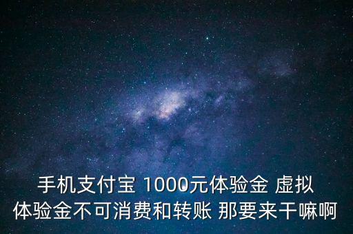 手機支付寶 1000元體驗金 虛擬體驗金不可消費和轉(zhuǎn)賬 那要來干嘛啊