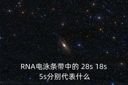 中能國研是什么，在HTML中content是什么意思