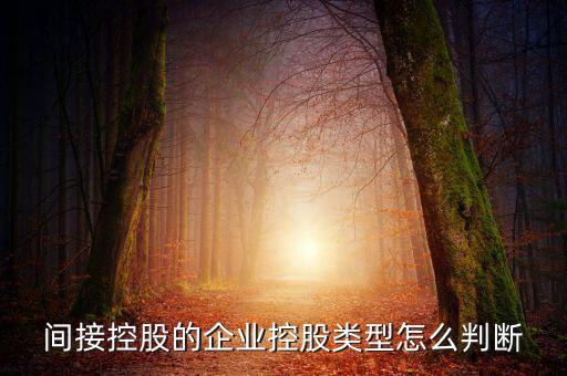 間接持股是什么意思，間接是什么意思