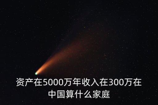資產(chǎn)在5000萬年收入在300萬在中國算什么家庭
