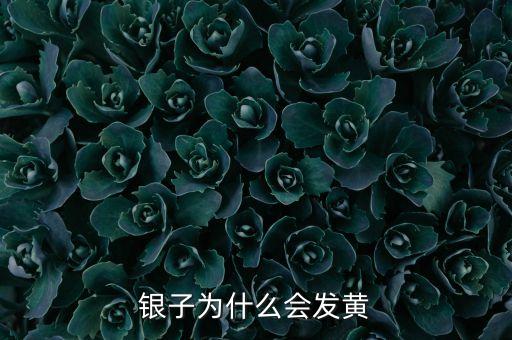 銀子為什么會發(fā)黃