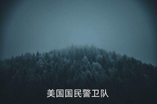 美國(guó)國(guó)民警衛(wèi)隊(duì)