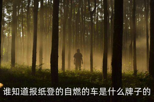 延安路轎車自燃什么牌子的車，誰知道報(bào)紙登的自燃的車是什么牌子的