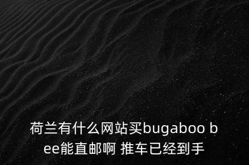 荷蘭有什么網(wǎng)站買bugaboo bee能直郵啊 推車已經(jīng)到手