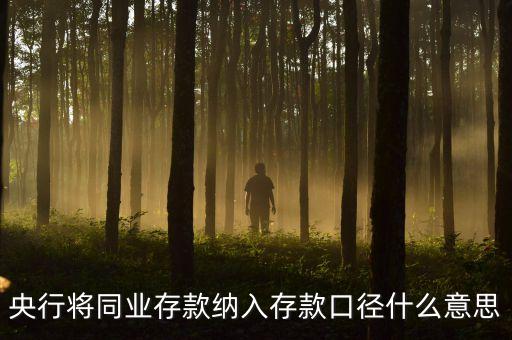 什么是存款口徑，央行將同業(yè)存款納入存款口徑什么意思