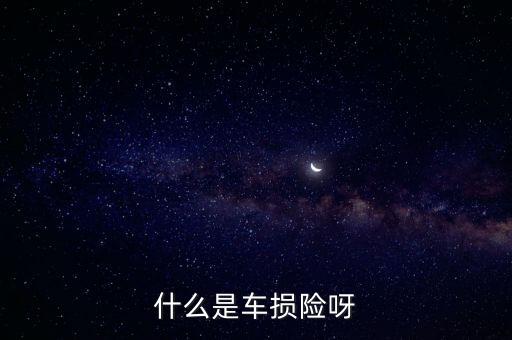 汽車(chē)車(chē)損險(xiǎn)是什么，汽車(chē)什么是車(chē)損險(xiǎn)定義