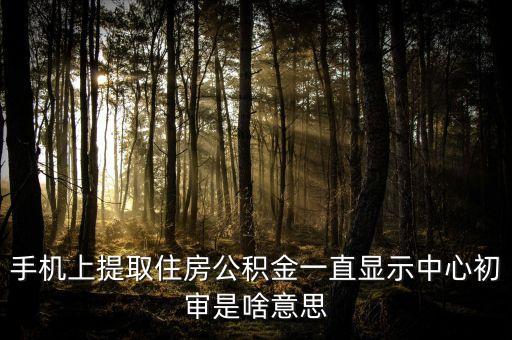 手機(jī)上提取住房公積金一直顯示中心初審是啥意思