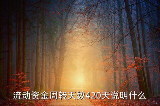 流動(dòng)資金周轉(zhuǎn)天數(shù)420天說(shuō)明什么