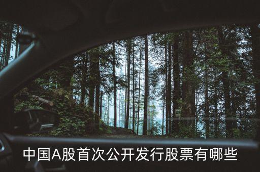 中國A股首次公開發(fā)行股票有哪些
