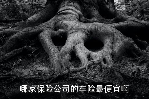 什么車險公司最便宜，哪家保險公司的車險最便宜啊