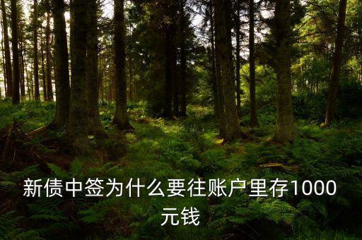 新債中簽為什么要往賬戶里存1000元錢