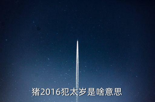 2016年犯什么星辰表，1974年的人在2016年犯太陽(yáng)星嗎