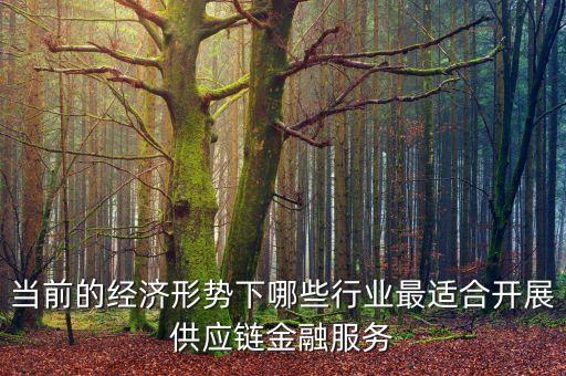 什么行業(yè)不適合產(chǎn)業(yè)鏈金融服務(wù)，產(chǎn)業(yè)鏈金融是什么