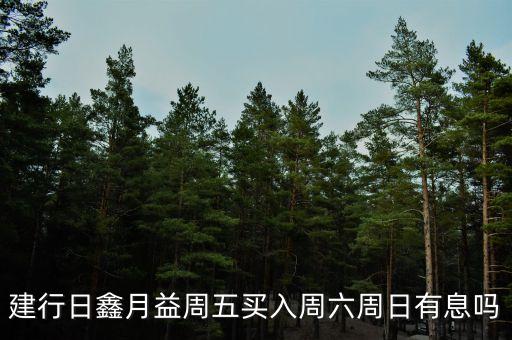 建行日鑫月益周五買入周六周日有息嗎