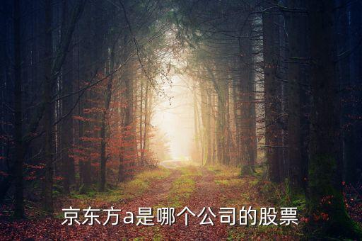 京東方a是什么企業(yè)，京東方A董事長(zhǎng)是誰(shuí)是什么企業(yè)