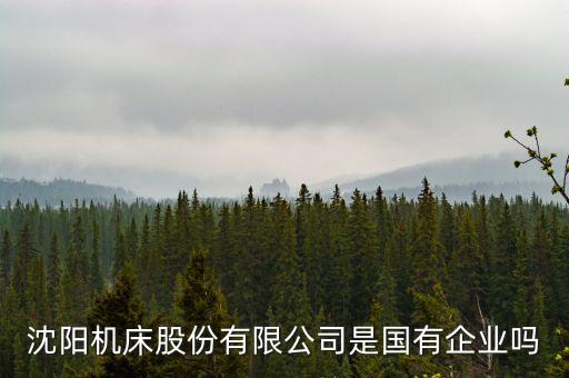 沈陽(yáng)機(jī)床屬于什么股，沈陽(yáng)機(jī)床股份有限公司是國(guó)有企業(yè)嗎