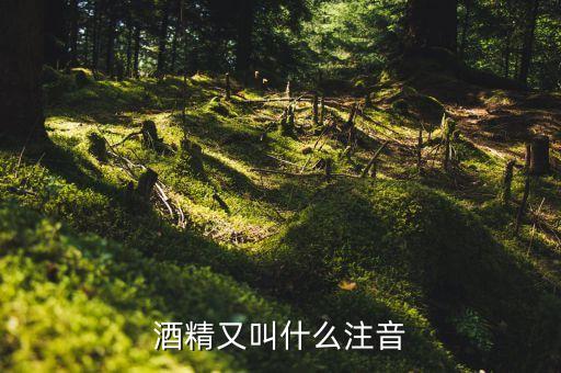 酒經(jīng)酒驚又名什么，酒精又叫什么注音