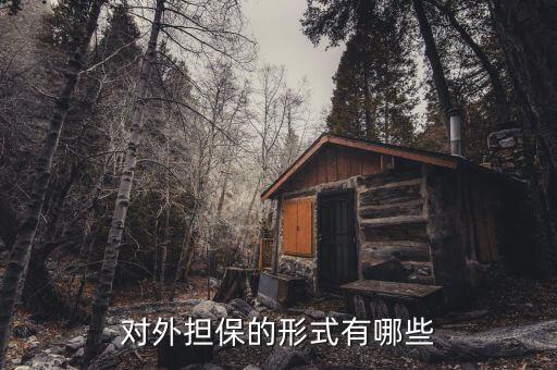 什么是境外擔(dān)保履約，外商投資企業(yè)貸款 外保內(nèi)貸 投注差