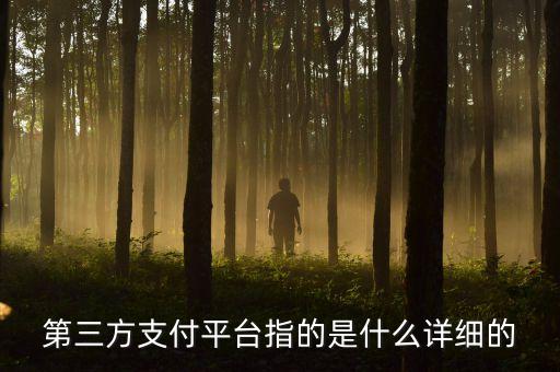 第三方支付平臺(tái)指的是什么詳細(xì)的
