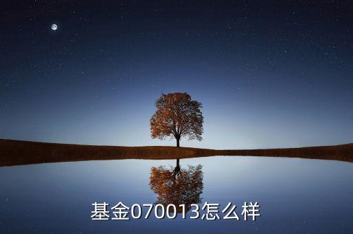 070013基金是什么基金，基金070013前面加of什么意思