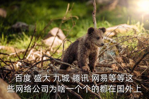 盛大為什么上市，百度 盛大 九城 騰訊 網(wǎng)易等等這些網(wǎng)絡(luò)公司為啥一個(gè)個(gè)的都在國外上