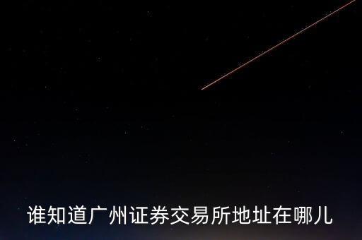 誰知道廣州證券交易所地址在哪兒