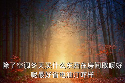 除了空調(diào)冬天買什么東西在房間取暖好呢最好省電油汀咋樣