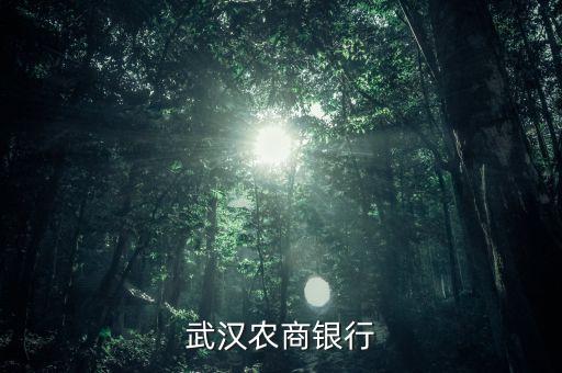 武漢農(nóng)商行的主要業(yè)務是什么，各銀行的主要業(yè)務以及業(yè)務范圍是什么