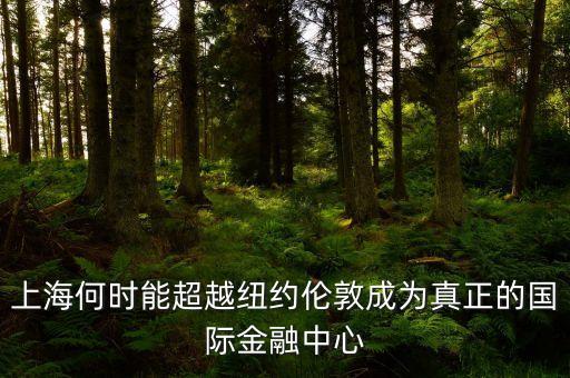 上海什么時(shí)候建成國際金融中心，上海金融中心什么時(shí)候建成的